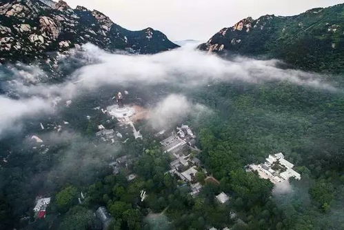 青岛崂山太清宫：你以为的仙境可能是人间地狱
