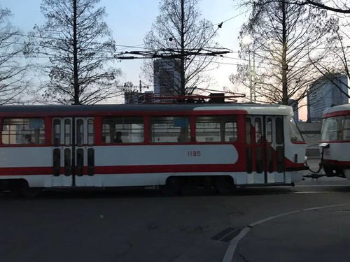 周末的召唤：一场说走就走的公交之旅， undefined