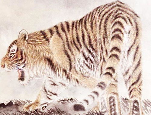 三、结合生肖特点？虎可是个大威猛的家伙！