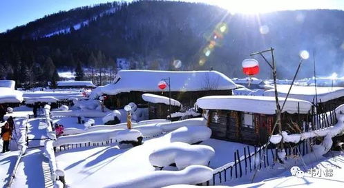 不走寻常路：雪乡的奇葩策略