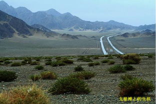 二、塔里木盆地的呼唤：沙海中的奇迹