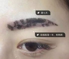 眉毛：你脸上的天气预报
