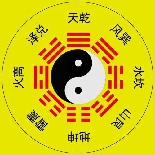 八字合11个，这究竟是不是预示着什么吉兆呢？