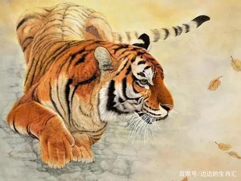 属猴：30岁后躺着数钱