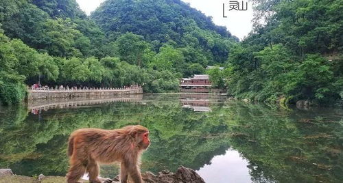 艳林景区——让你流连忘返的秘境之旅（加一点噪音）