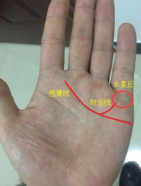 拇指短小且软弱无力