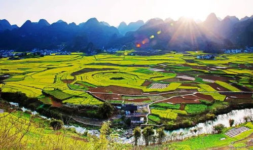 乌蒙大草原：草都秃了