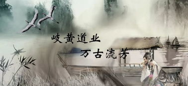 追逐与逃离