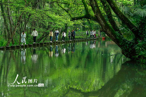 四川：蜀汉文化底蕴的底蕴