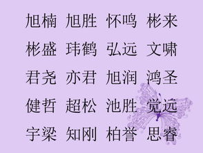 2026年出生的女孩，姓杨，有没有什么好名字推荐？