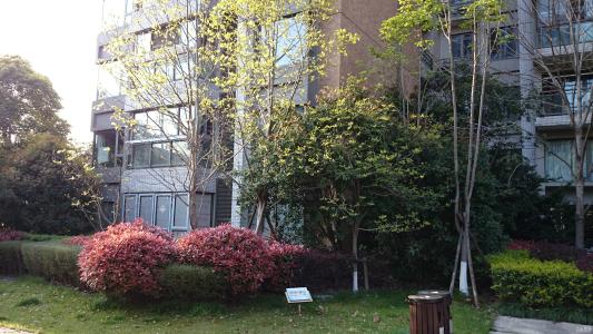 三、吃喝玩乐乱入篇——别让胃空着！