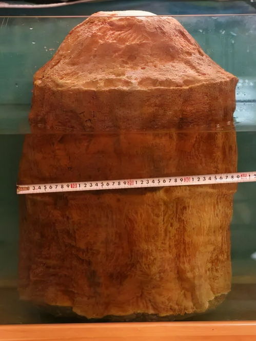 Taísè zài Guójiě yǒu yī xiǎo de Yōuxiù