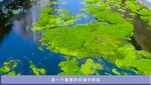 贵州风水及未来发展前景,贵州风水及未来发展前景