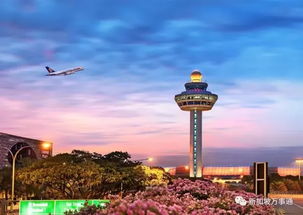 震惊！这个小国把会奖旅游玩出花了