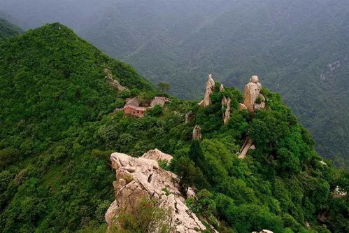 乐山景区对本地人的门票价格设定，太让人羡慕了！