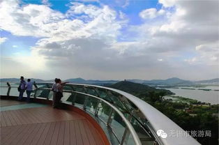 早晨：从太湖的雾里爬出来