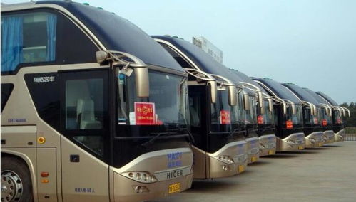 三、实践案例：一次愉迅速的黄山之旅——或者说“顺风顺水”与“逆流而上”的对比探究？
