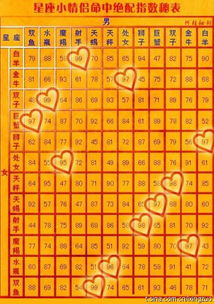 金牛女：移动的人形记账本