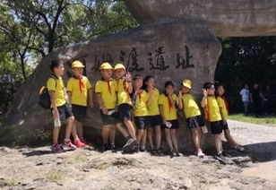 惯与导游阿姨的话痨属性