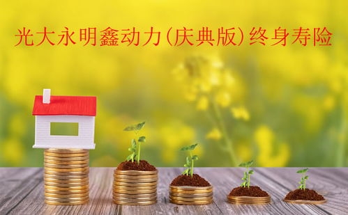 恒大紫微星定期寿险投保后对家庭保障和财务安全有哪些具体好处呢？