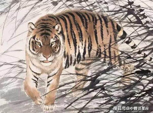 财运？不存在的！