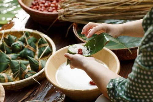 生肖兔：温柔如水， 家居里的柔软萌避风港