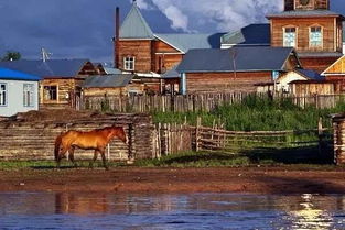 第一站：中都草原，到底是看草还是看人？