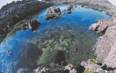 1. 五大连池——火山+湖水+矿泉（随便）