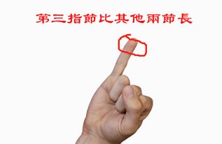 一身是软骨的生肖是什么？柔软的生肖指的是哪个生肖？