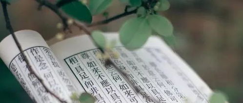 神秘话语