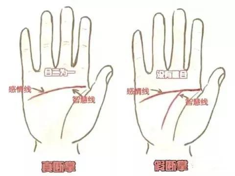 五、 断掌人的感情生活简直是冰火两重天