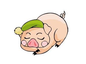 属猪和属狗的婚姻如何？猪年哪个月出生的人运势最佳？