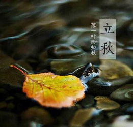 子鼠：偷油喝也得看日子