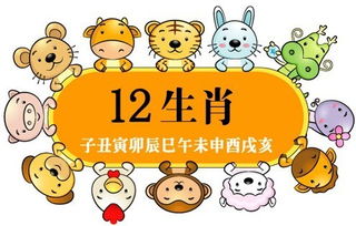 羊羊的音乐之夜