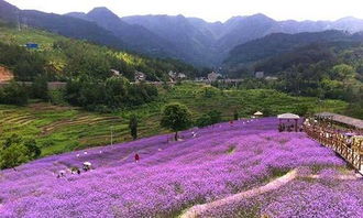 风水田园,风水中的水田位置