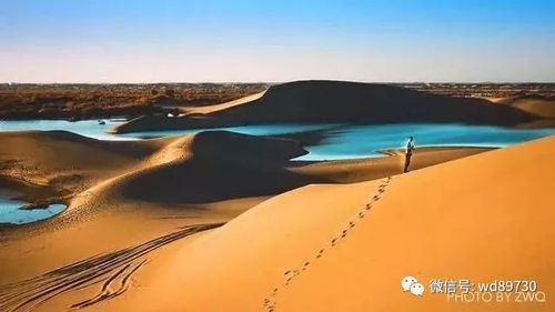 概览：德国旅游的时间迷雾