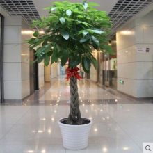 摆放位置大揭秘：比赌博还刺激！