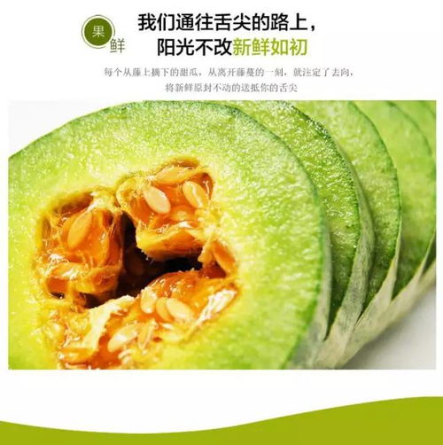 勃利红松籽：来自勃利的红色馈赠