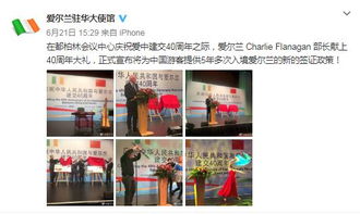 五、 审理阶段：耐心与焦虑并存