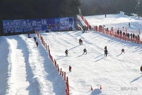 a) 初学者课程介绍