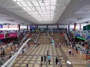 一、 初入罗福口岸：人山人海中的迷失与狂欢