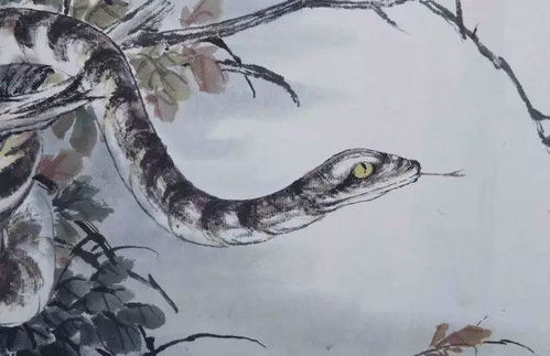 属蛇人在2026年会有大喜和大运吗？这是否意味着他们将迎来人生的高峰期？