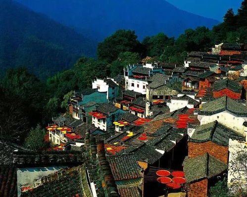 门票市场价格， 一场市场价格与情感的碰撞