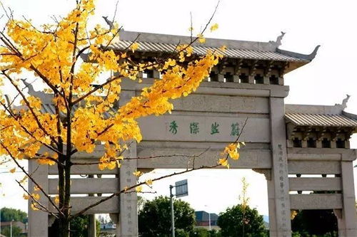 孔庙：祭祀祖先的圣地