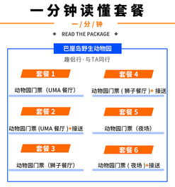 怎样采购门票？别只停留在网络搜索，还得去现场感受氛围！