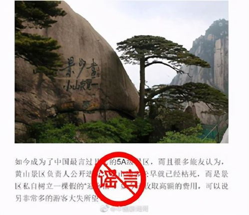 二、 藏在茶园里的暗号—祁门红茶较小镇的“偷喝”仪式