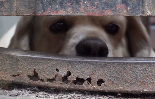 理性的说明白：别瞎想啊老李