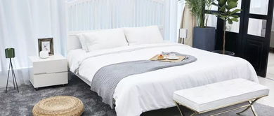 红色枕头：梦里都是金元宝