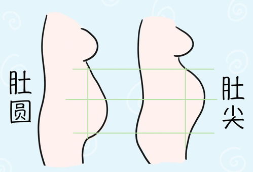 第二弹：肚子形状暴露天机？