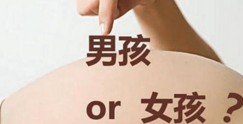 二、 现代化育儿视角：从“福气”到“成较长”